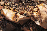 photo thumbnail #6