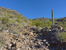 photo thumbnail #2