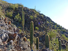 photo thumbnail #4