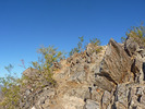 photo thumbnail #10