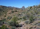 photo thumbnail #2