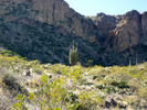 photo thumbnail #14