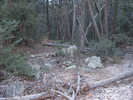 photo thumbnail #1