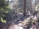 photo thumbnail #5