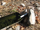photo thumbnail #6