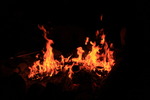 photo thumbnail #8