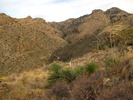 photo thumbnail #3