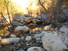photo thumbnail #1