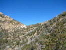 photo thumbnail #7