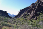 photo thumbnail #3