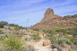 photo thumbnail #8
