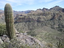 photo thumbnail #7