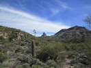 photo thumbnail #9