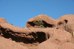 photo thumbnail #4