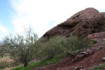 photo thumbnail #5