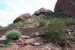 photo thumbnail #8