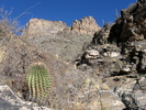 photo thumbnail #9