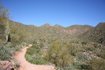 photo thumbnail #15