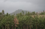 photo thumbnail #9
