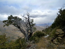 photo thumbnail #5