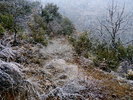 photo thumbnail #13