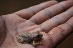 photo thumbnail #15