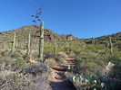 photo thumbnail #1