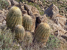 photo thumbnail #3