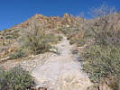 photo thumbnail #5