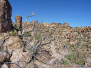 photo thumbnail #6
