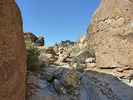 photo thumbnail #9
