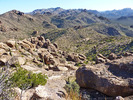 photo thumbnail #12