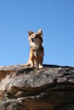 photo thumbnail #1