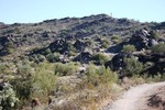 photo thumbnail #7