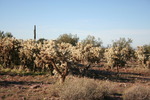 photo thumbnail #8