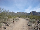 photo thumbnail #2