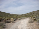 photo thumbnail #6