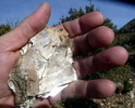 photo thumbnail #3
