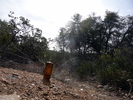 photo thumbnail #9