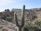 photo thumbnail #12