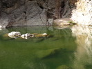 photo thumbnail #13