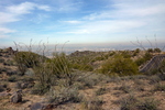 photo thumbnail #7