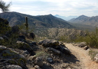 photo thumbnail #10