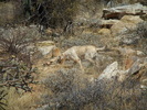 photo thumbnail #3