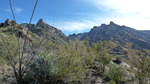 photo thumbnail #5