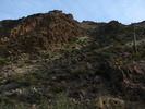 photo thumbnail #10