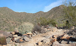 photo thumbnail #1