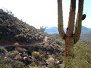 photo thumbnail #2