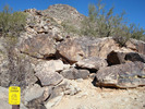 photo thumbnail #7