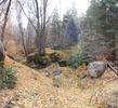 photo thumbnail #5